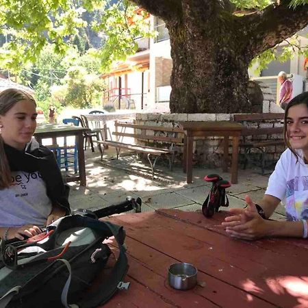 Chalet In The Forest Kalavryta Ngoại thất bức ảnh