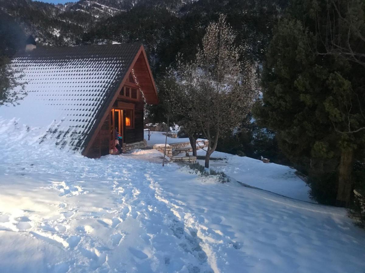 Chalet In The Forest Kalavryta Ngoại thất bức ảnh