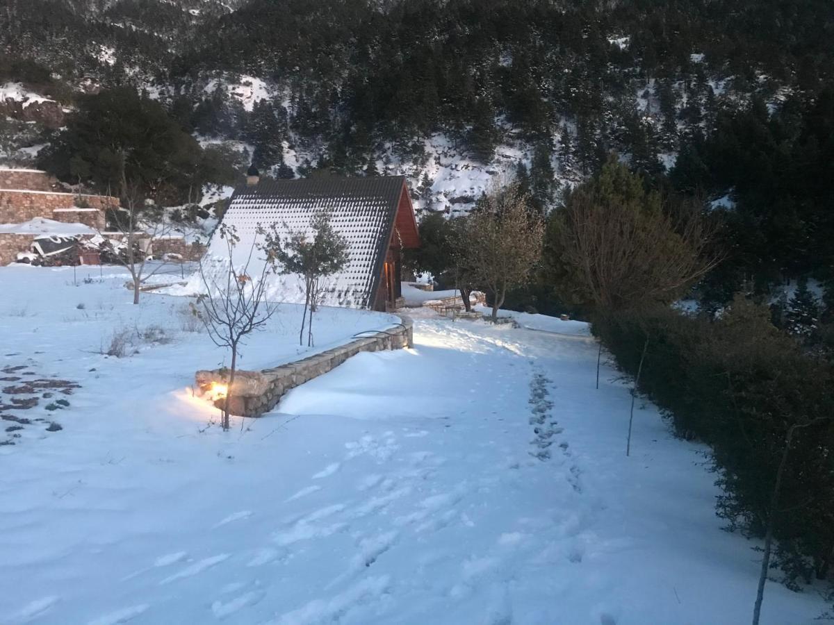 Chalet In The Forest Kalavryta Ngoại thất bức ảnh