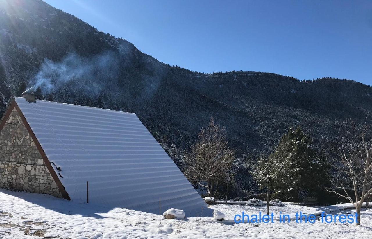Chalet In The Forest Kalavryta Ngoại thất bức ảnh