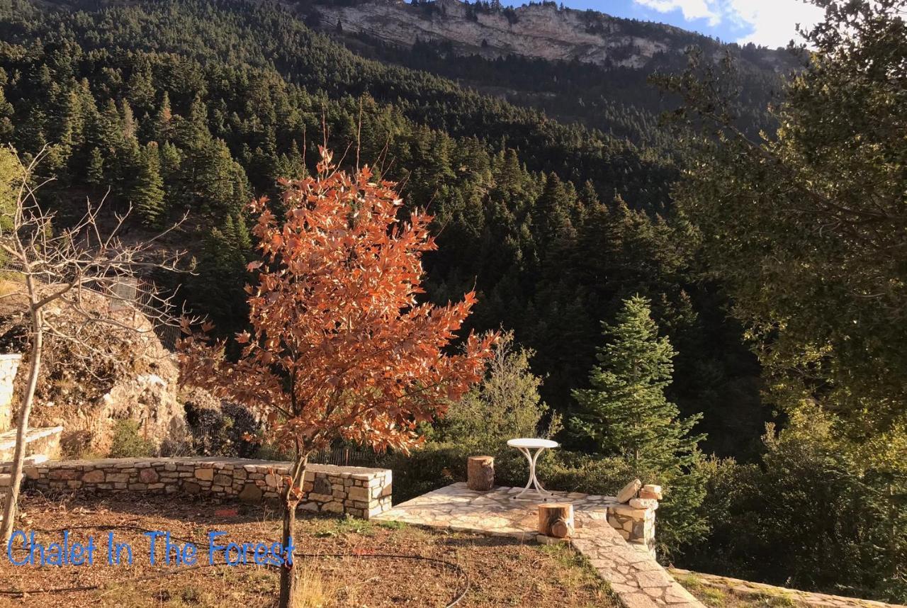 Chalet In The Forest Kalavryta Ngoại thất bức ảnh