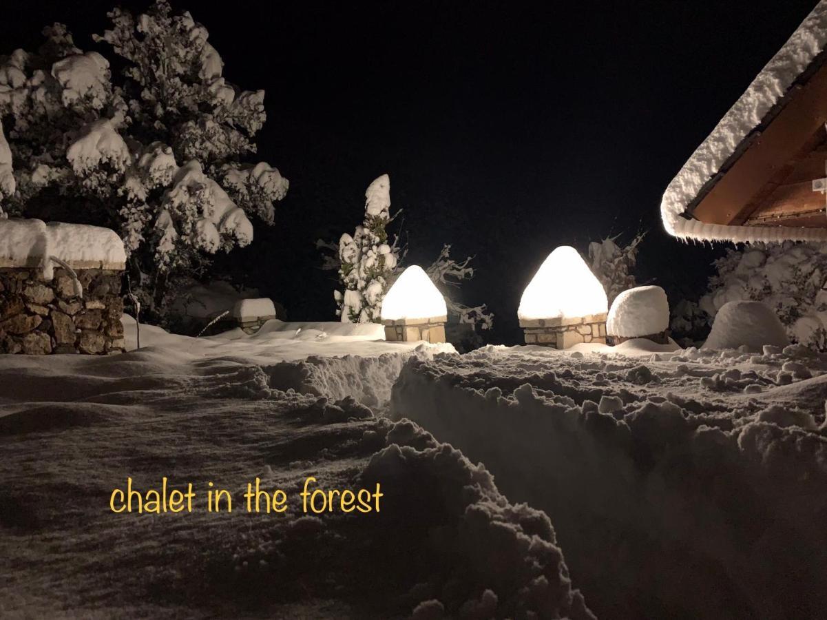 Chalet In The Forest Kalavryta Ngoại thất bức ảnh