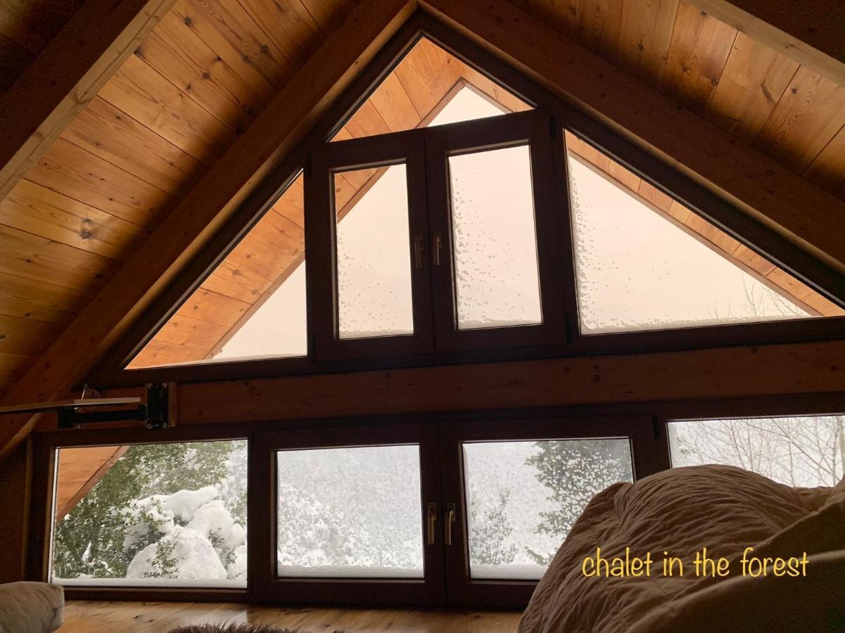 Chalet In The Forest Kalavryta Ngoại thất bức ảnh