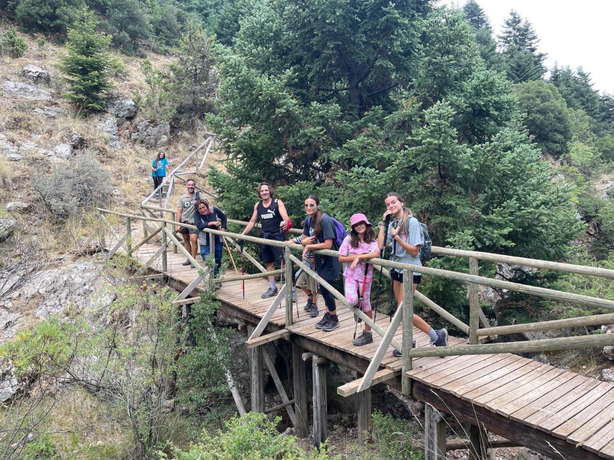 Chalet In The Forest Kalavryta Ngoại thất bức ảnh