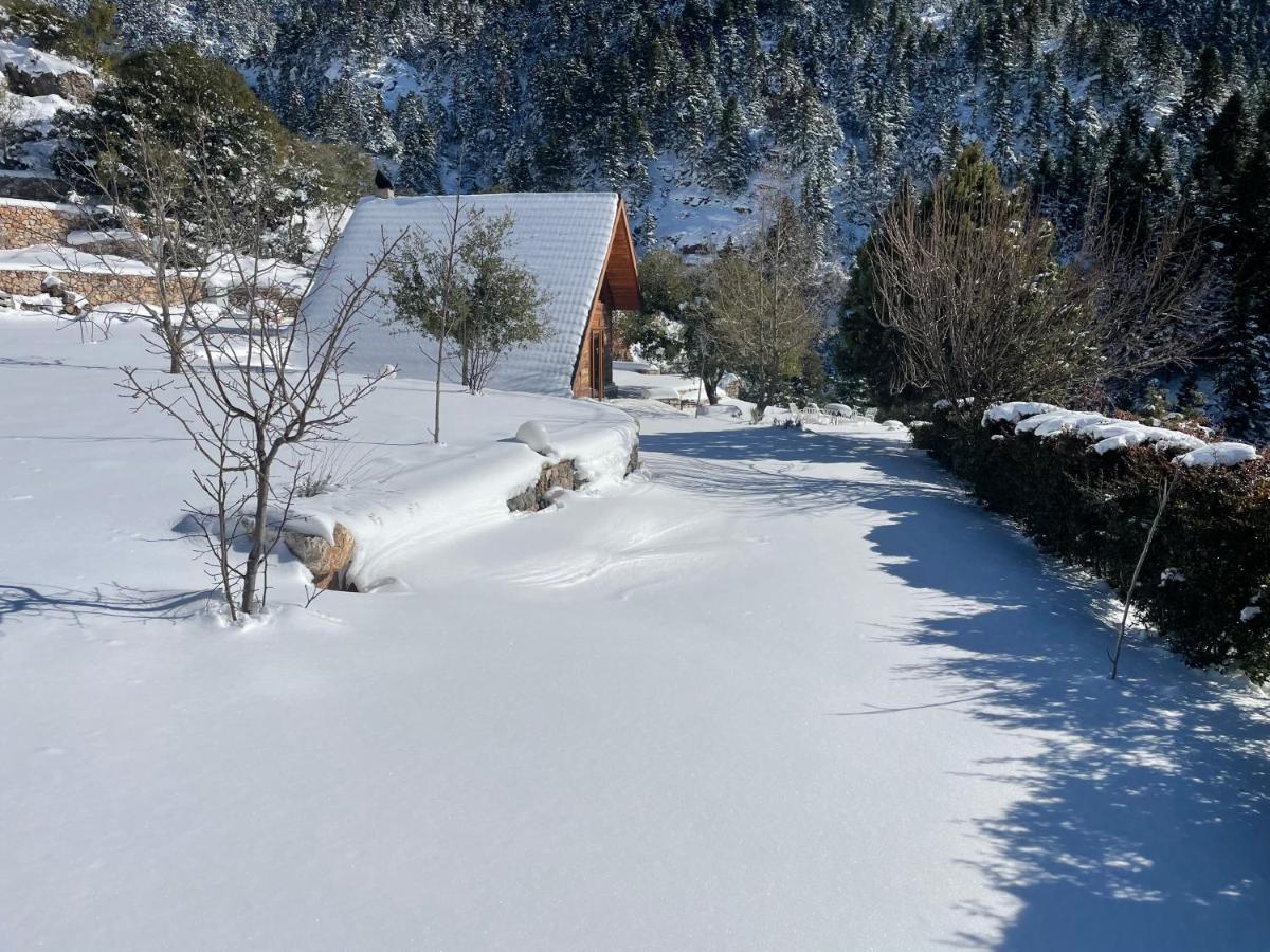 Chalet In The Forest Kalavryta Ngoại thất bức ảnh