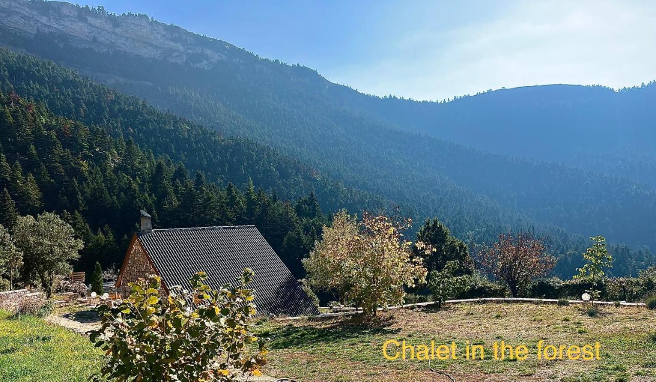 Chalet In The Forest Kalavryta Ngoại thất bức ảnh