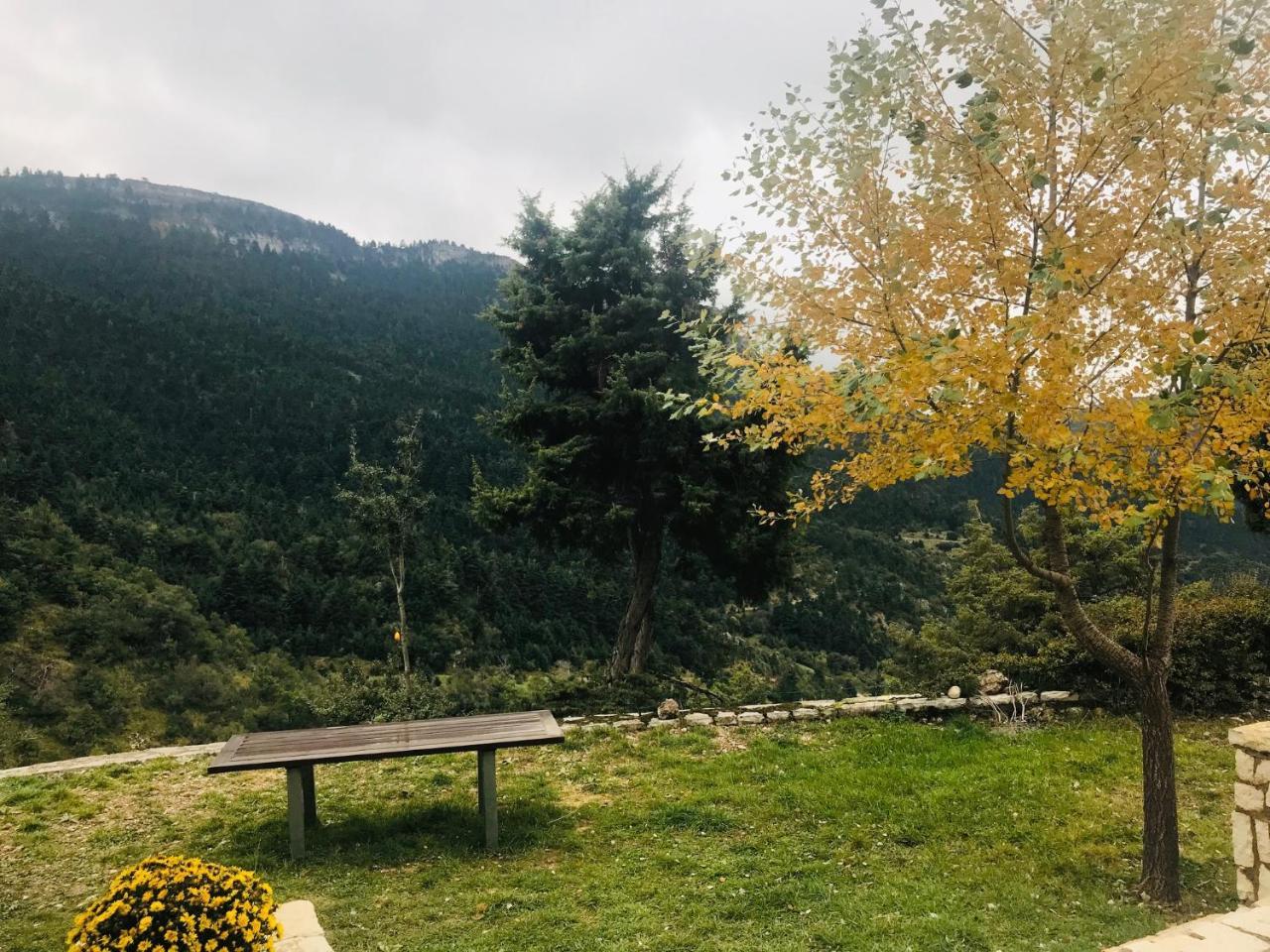 Chalet In The Forest Kalavryta Ngoại thất bức ảnh