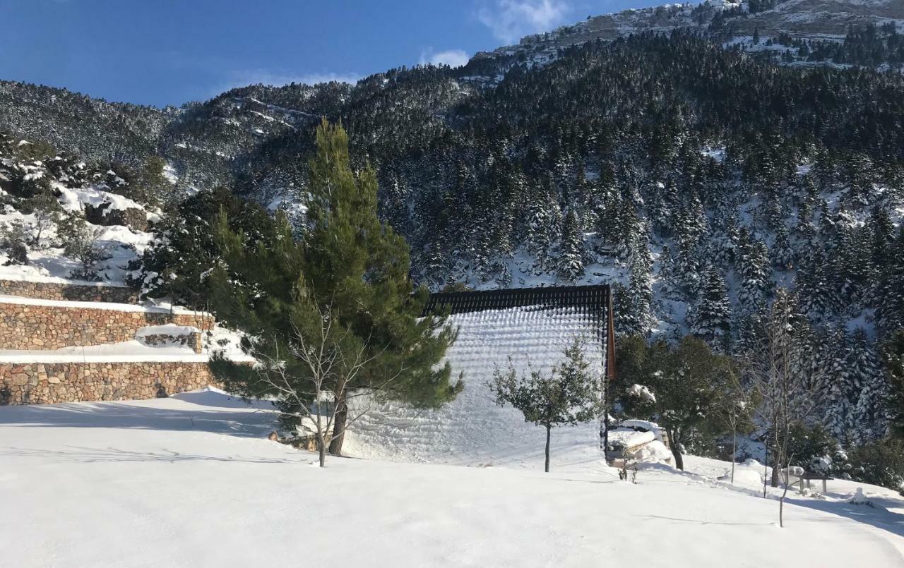 Chalet In The Forest Kalavryta Ngoại thất bức ảnh