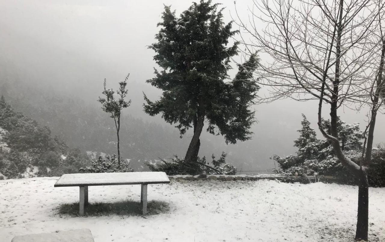 Chalet In The Forest Kalavryta Ngoại thất bức ảnh