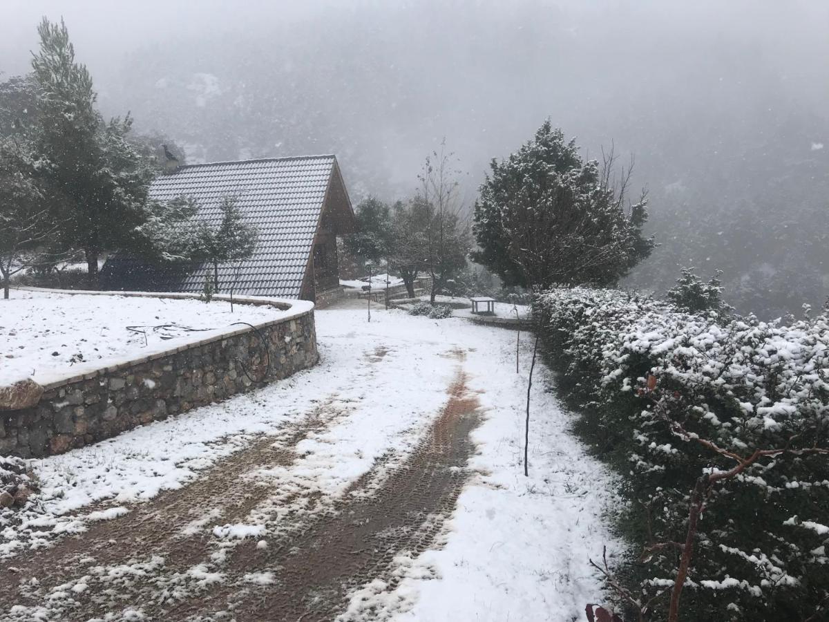 Chalet In The Forest Kalavryta Ngoại thất bức ảnh