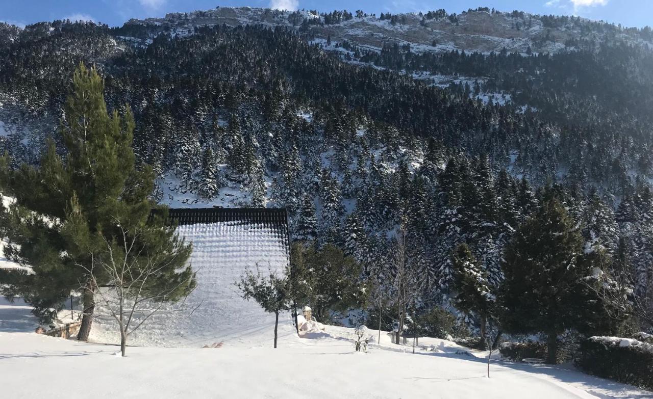 Chalet In The Forest Kalavryta Ngoại thất bức ảnh