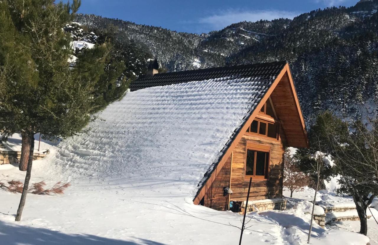 Chalet In The Forest Kalavryta Ngoại thất bức ảnh